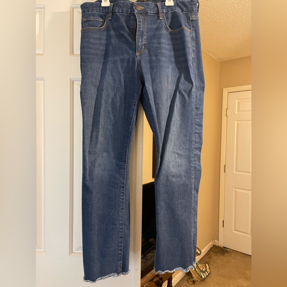 Ann Taylor Straight Crop 10